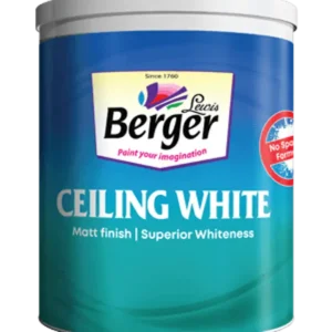 Buy Ceiling White Paint