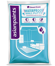 Buy SmartCare Waterproofing Putty