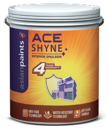 Buy Ace Shyne
